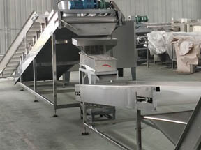 French customer purchased peanut peeling machine production line